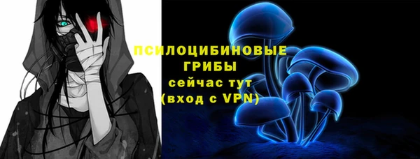 МДМА Карпинск