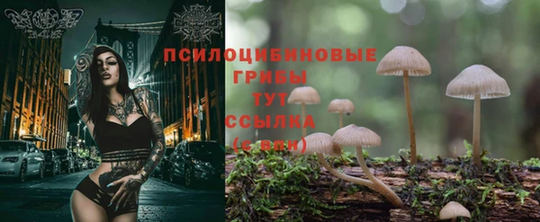 МДМА Карпинск