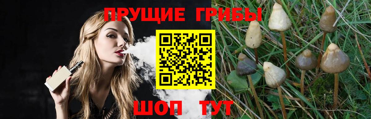 Псилоцибиновые грибы Cubensis Ижевск