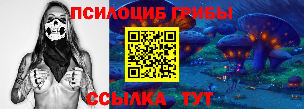 Псилоцибиновые грибы Psilocybine cubensis  Галлюциногенные грибы Cubensis  наркотики  Ижевск 